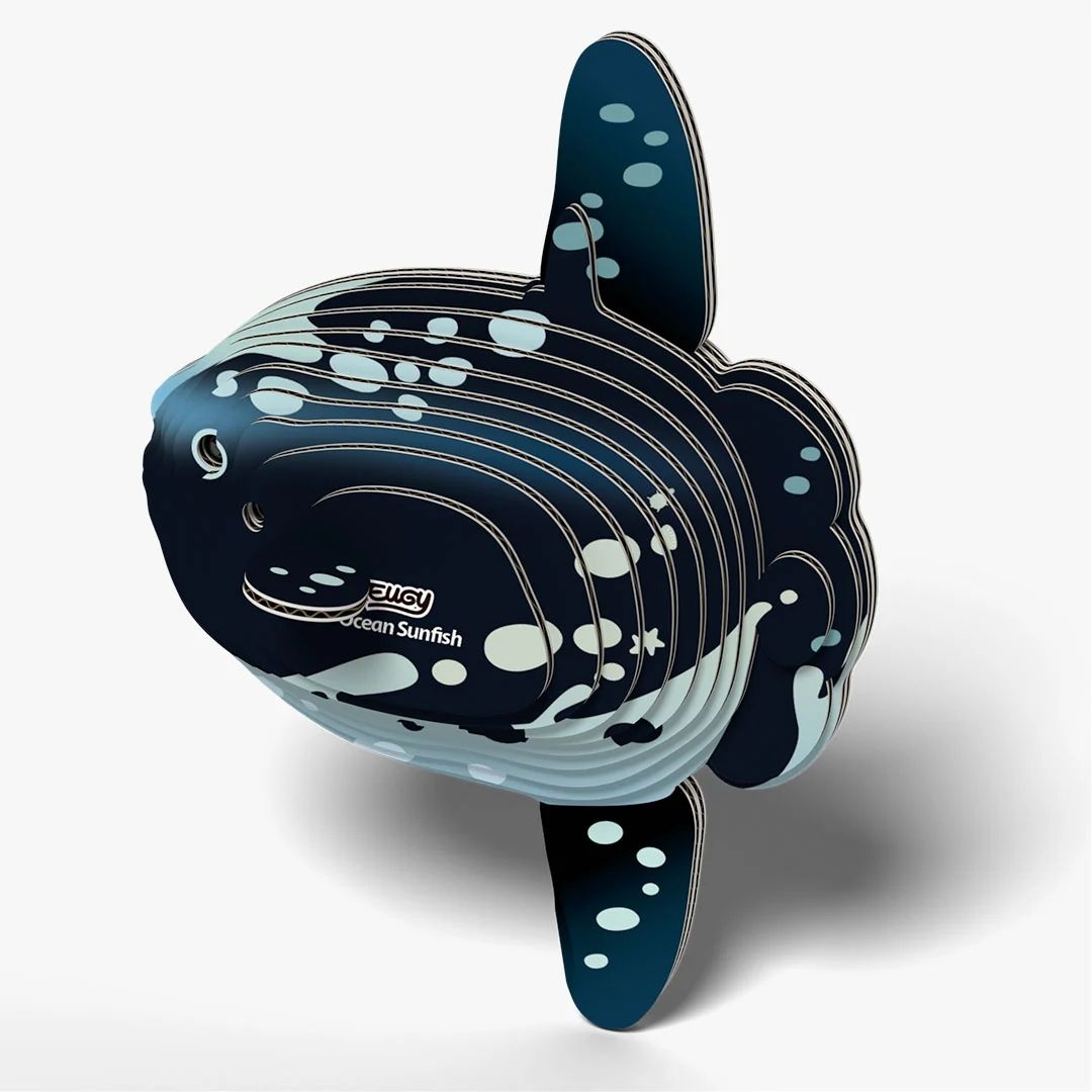 Eugy 3D Model 132 Ocean Sunfish