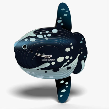 Eugy 3D Model 132 Ocean Sunfish
