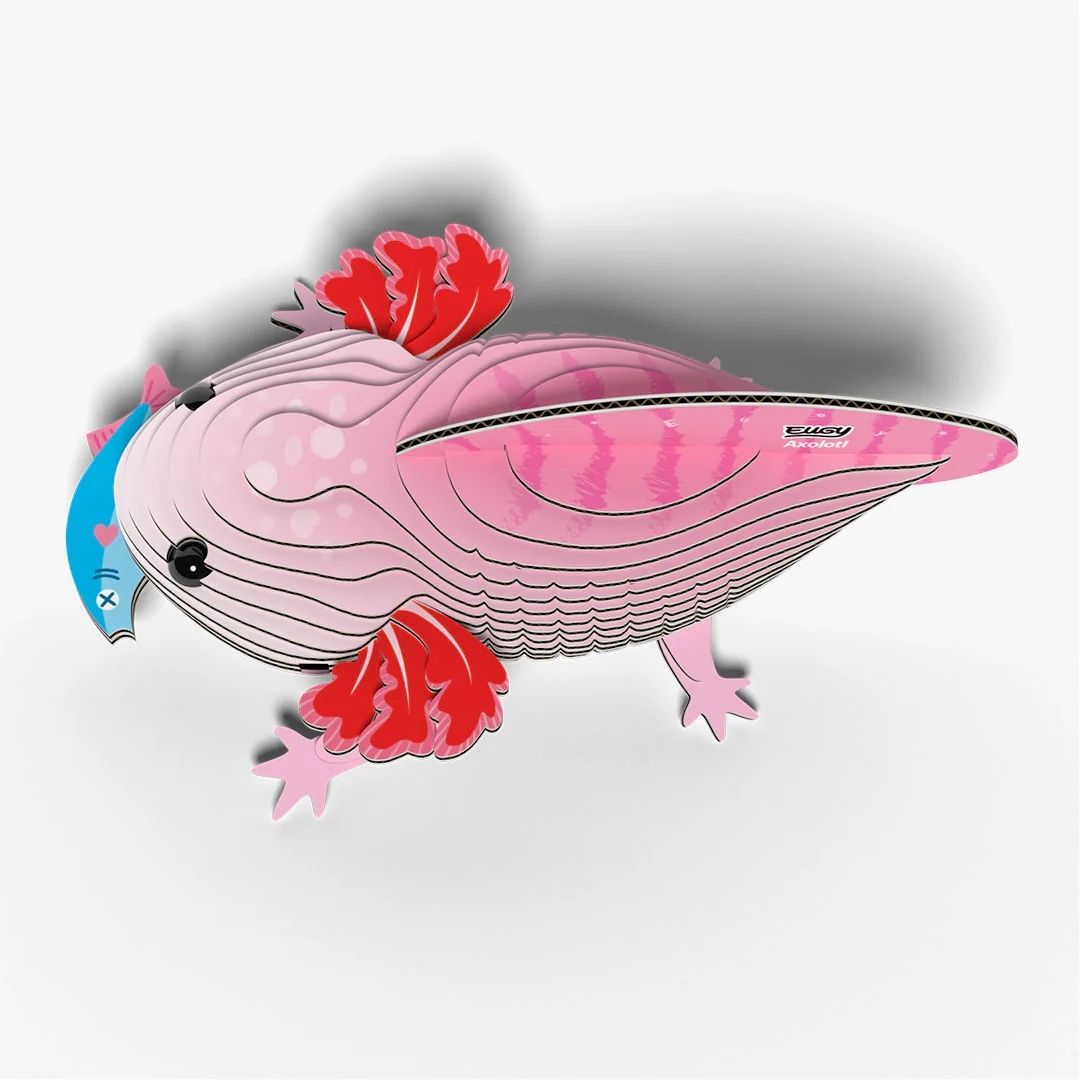 Eugy 3D Model 139 Axolotl