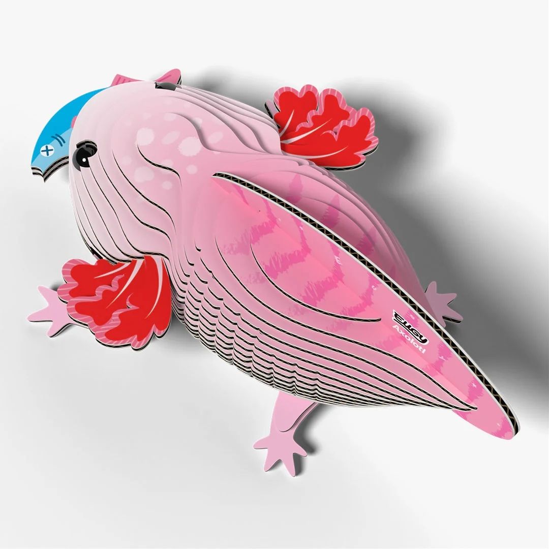 Eugy 3D Model 139 Axolotl