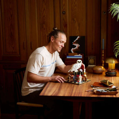 Lego 76466 Harry Potter Philosopher's Stone ? Collectors' Edition