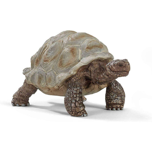 Toys N Tuck:Schleich 14824 Wild Life Giant Tortoise,Schleich