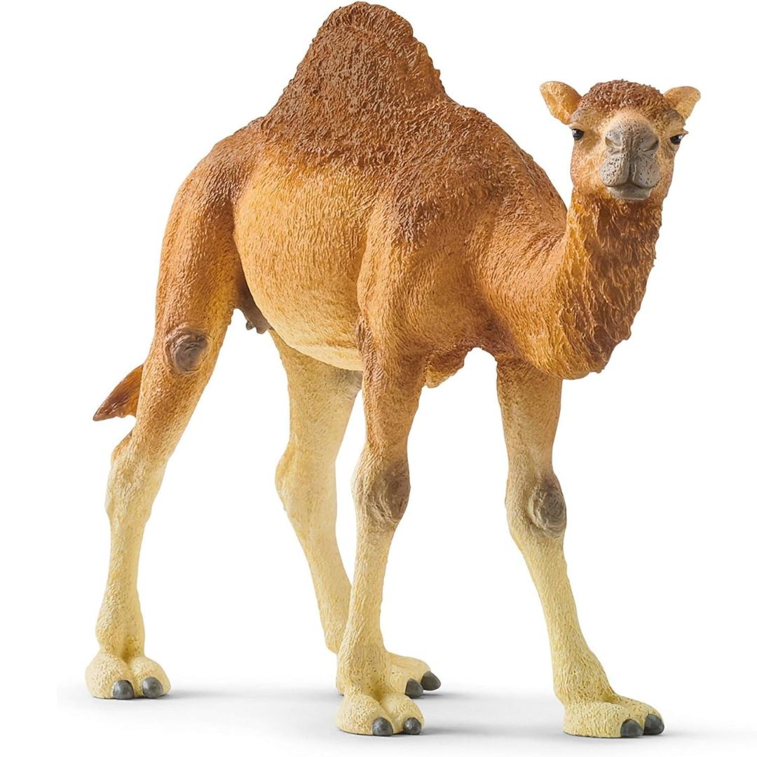 Schleich Wild Life Dromedary 14832