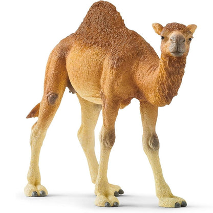 Schleich Wild Life Dromedary 14832