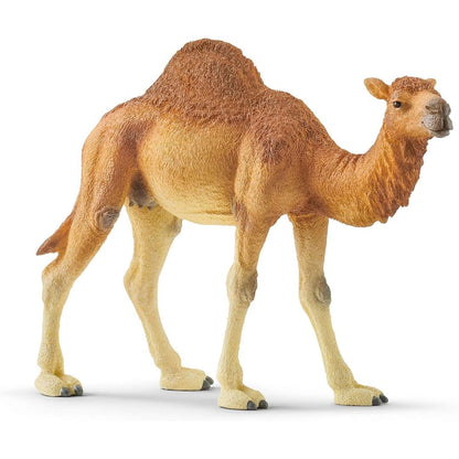 Schleich Wild Life Dromedary 14832