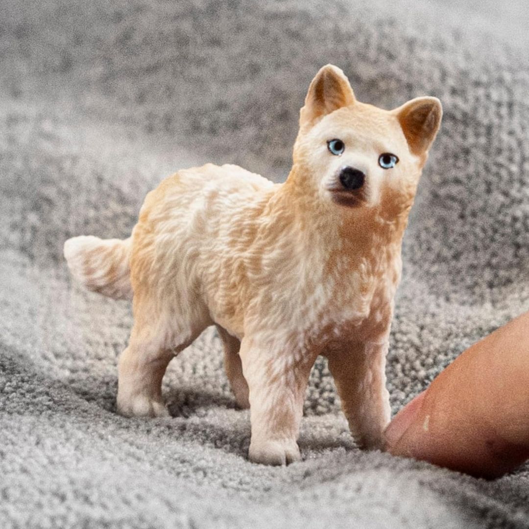 Schleich Wild Life Arctic Wolf Cub 14881