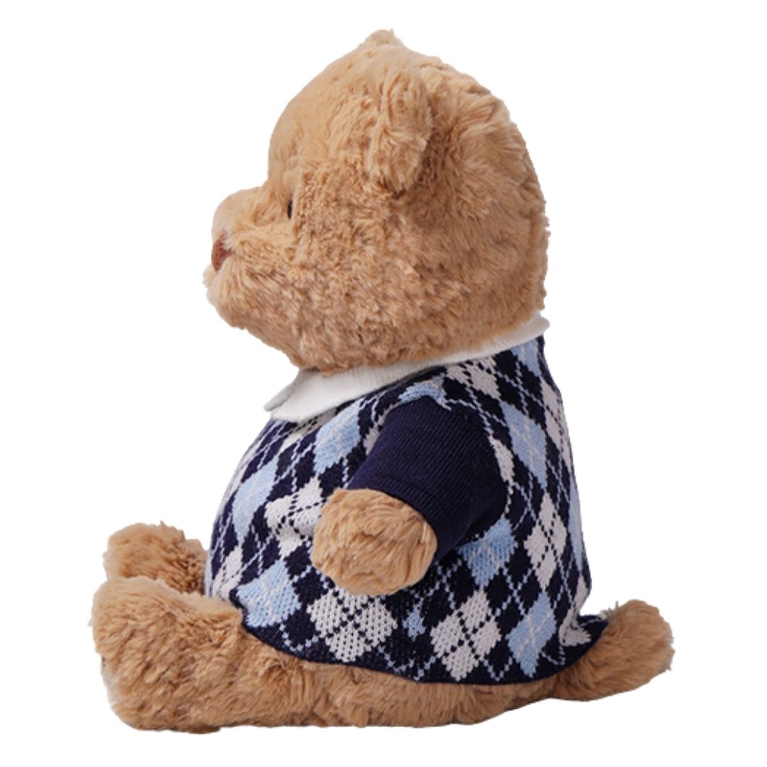 McHugs Argyle Sweater Raffles Bear 25cm Plush