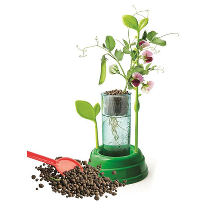 Clementoni Science & Play Lab Discover Hydroponics