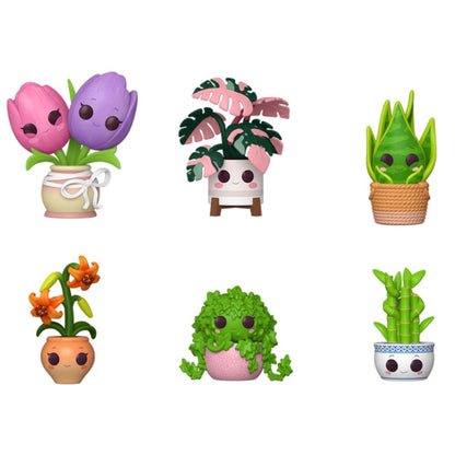 Pop! Mystery - Flora - Mystery Box