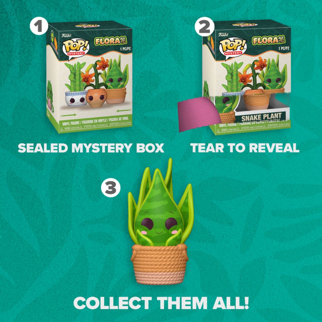 Pop! Mystery - Flora - Mystery Box