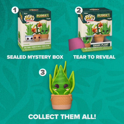 Pop! Mystery - Flora - Mystery Box