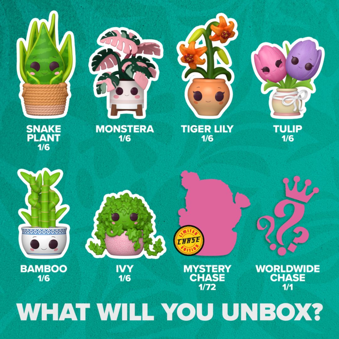 Pop! Mystery - Flora - Mystery Box