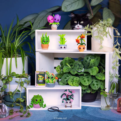 Pop! Mystery - Flora - Mystery Box