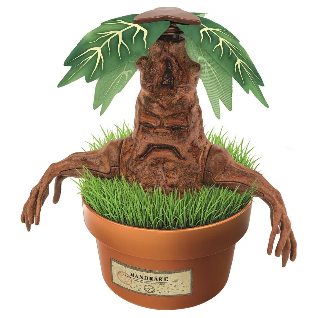 Harry Potter Mandrake Terrarium Kit