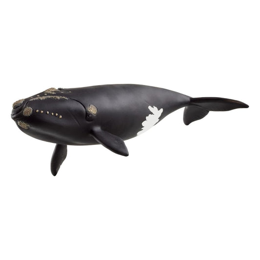 Schleich Wild Life North Atlantic Right Whale 14878