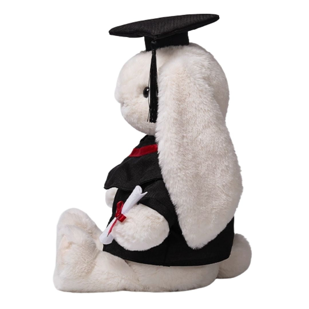 McHugs Graduation Smiling Leveret 25cm Plush