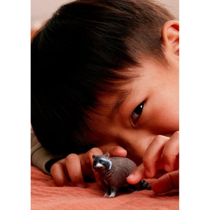Schleich Wild Life Racoon 14937