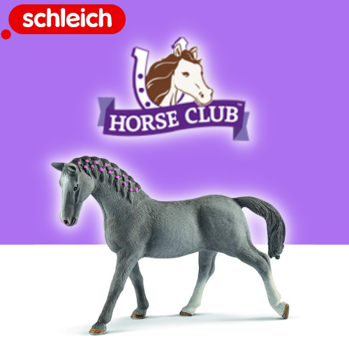 Selle Français Mare 13955 HORSE CLUB