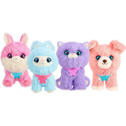ScruffaLuvs Pet Scruffs