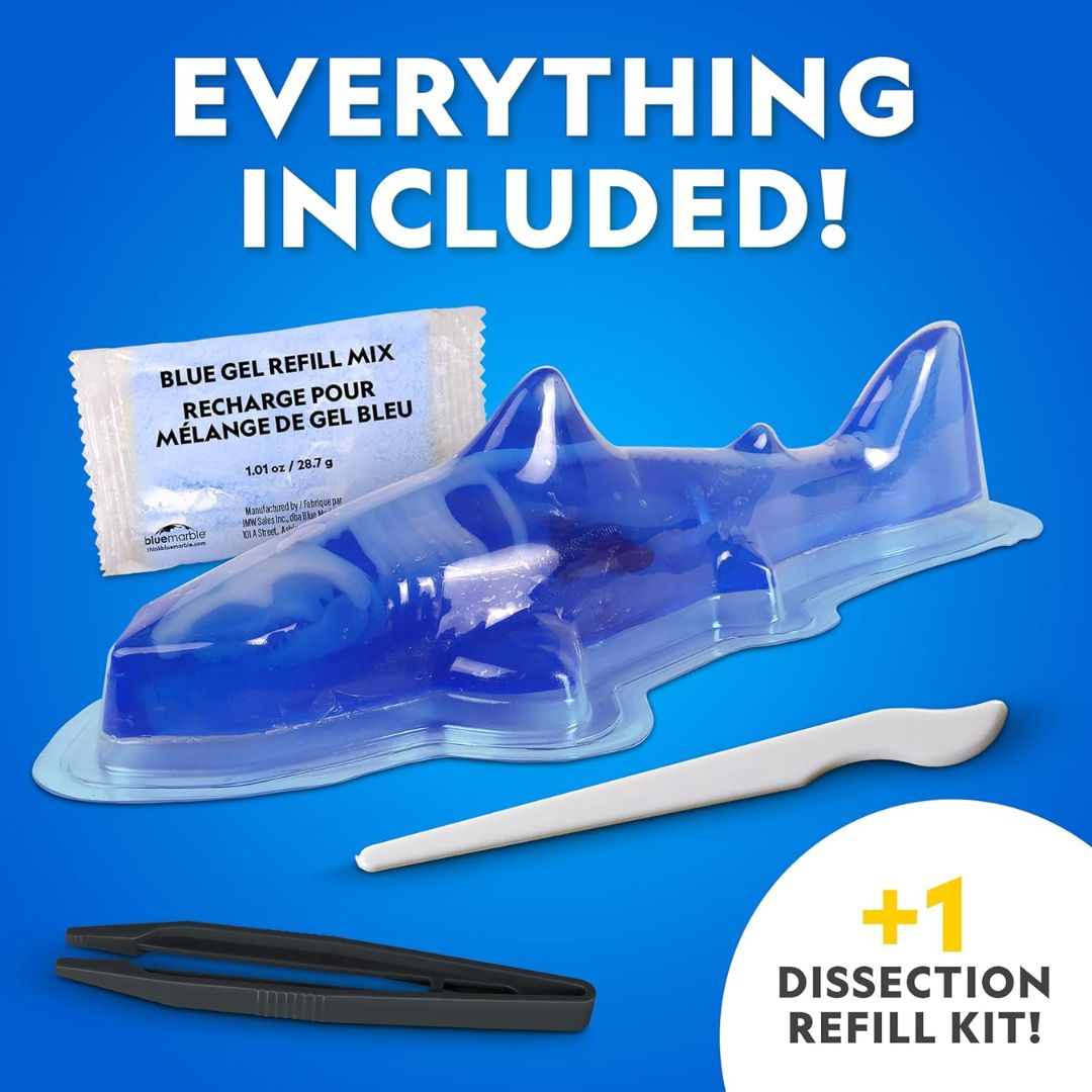 National Geographic Dissection Lab Great White Shark