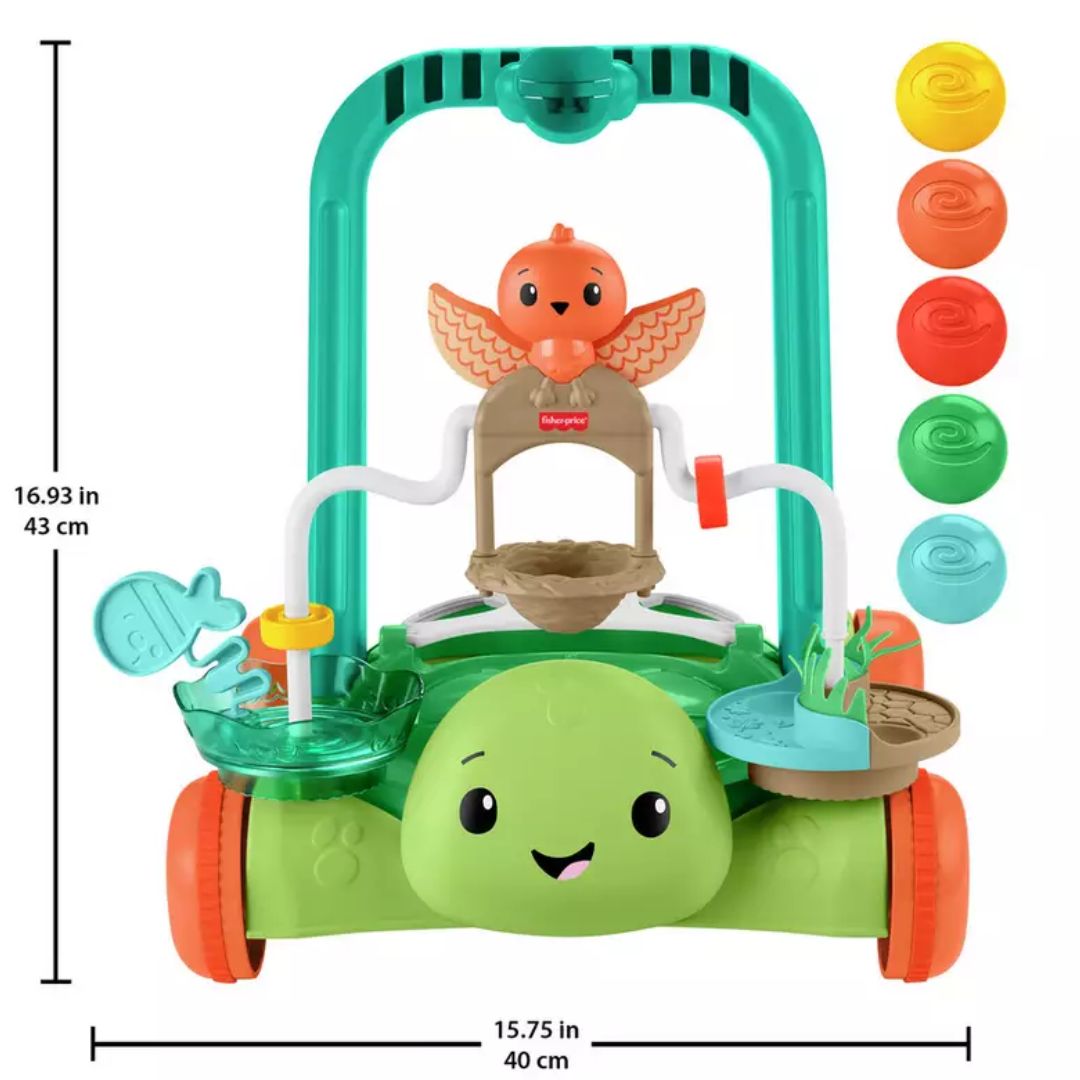 Fisher Price Moves with You Turtle Walker