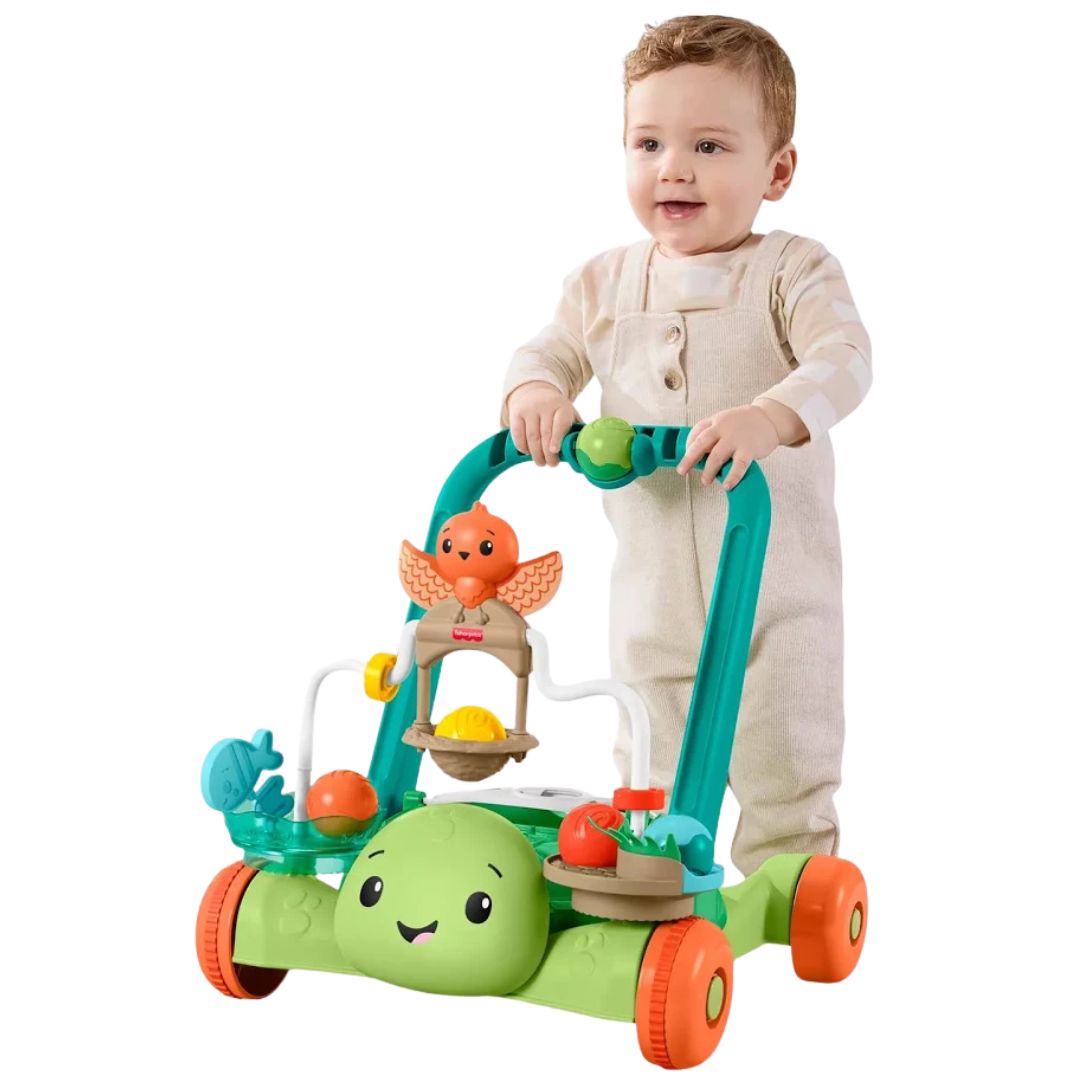 Fisher Price Moves with You Turtle Walker