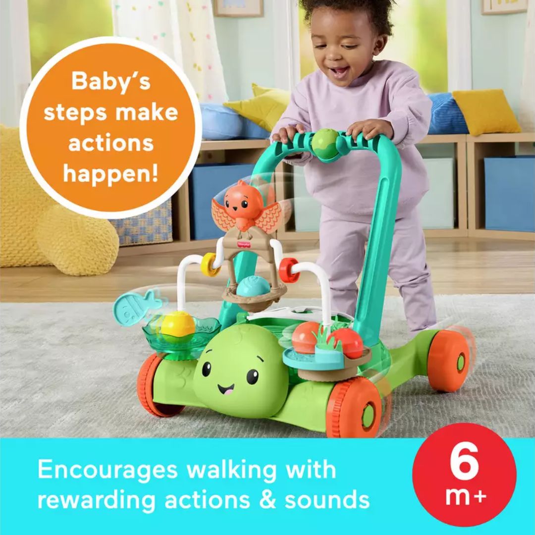 Fisher Price Moves with You Turtle Walker
