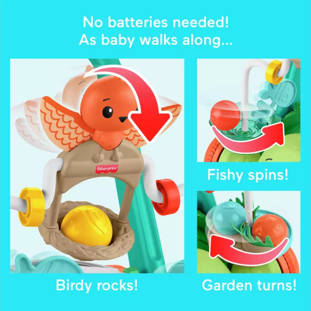 Fisher Price Moves with You Turtle Walker
