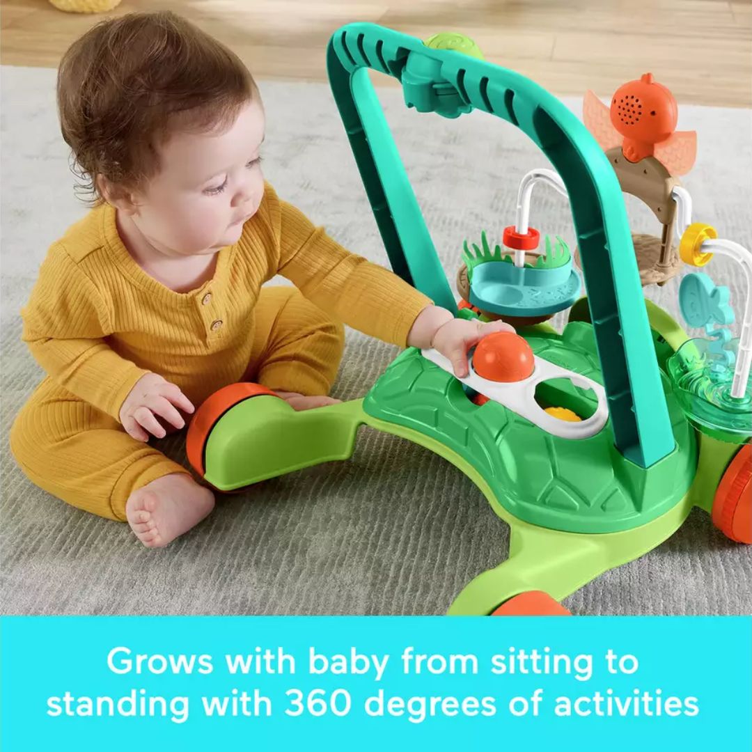Fisher Price Moves with You Turtle Walker