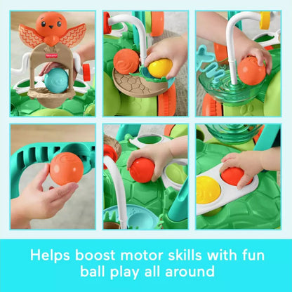 Fisher Price Moves with You Turtle Walker