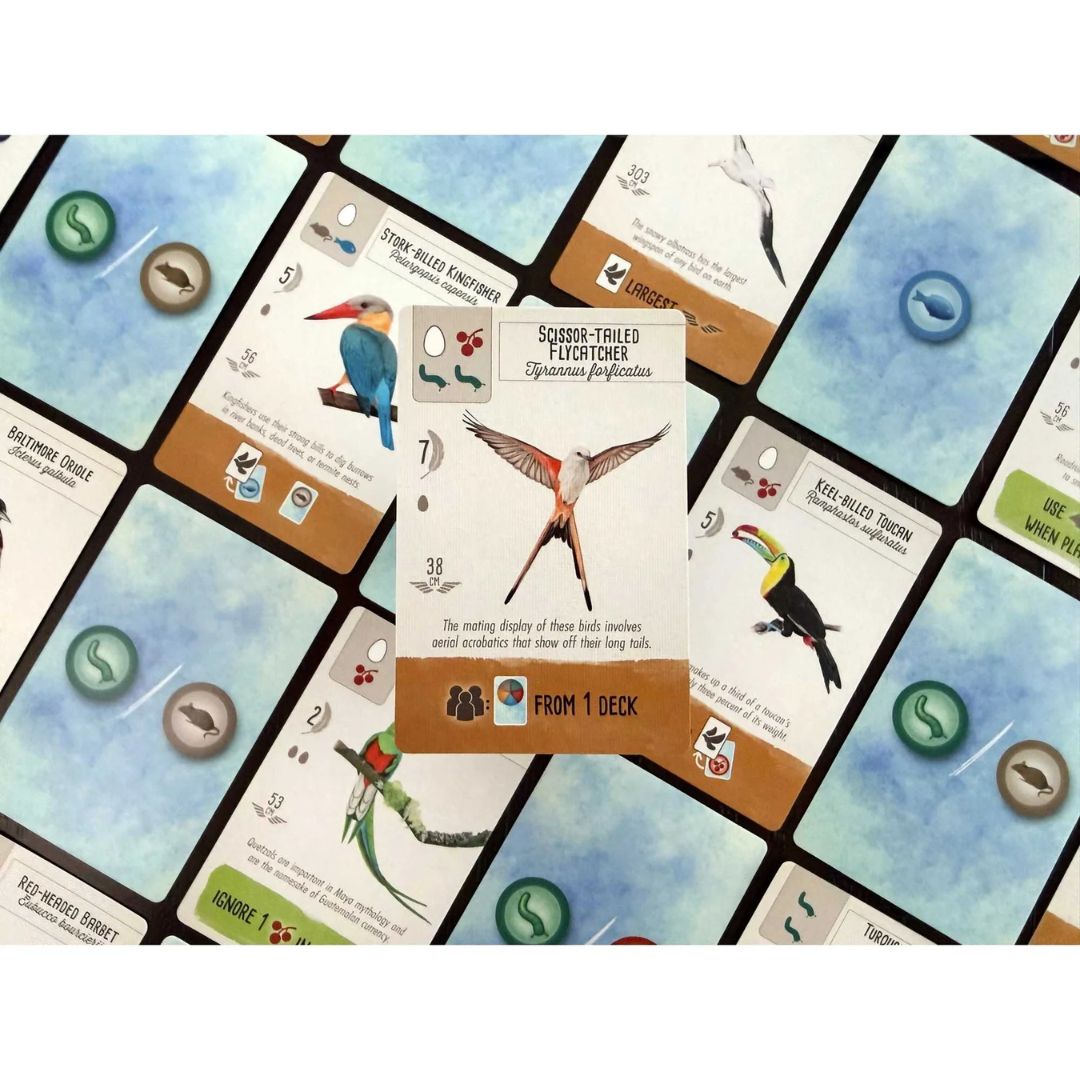 Wingspan Pocket Card Game