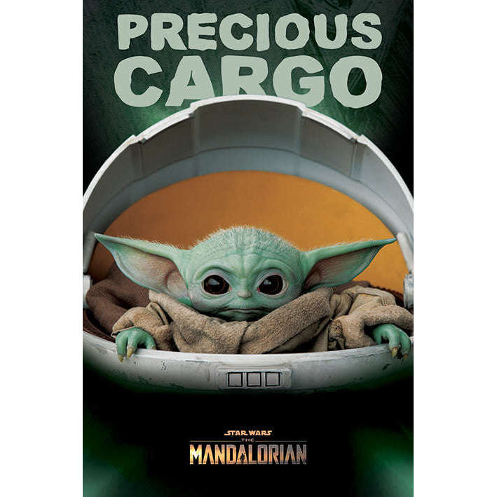 Toys N Tuck:Maxi Posters - Star Wars: The Mandalorian (Precious Cargo),Pyramid International