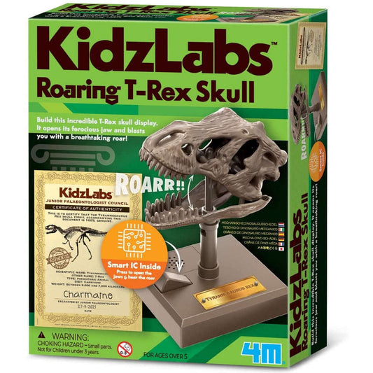 Toys N Tuck:4M Kidzlabs Roaring T-Rex Skull,Kidzlabs