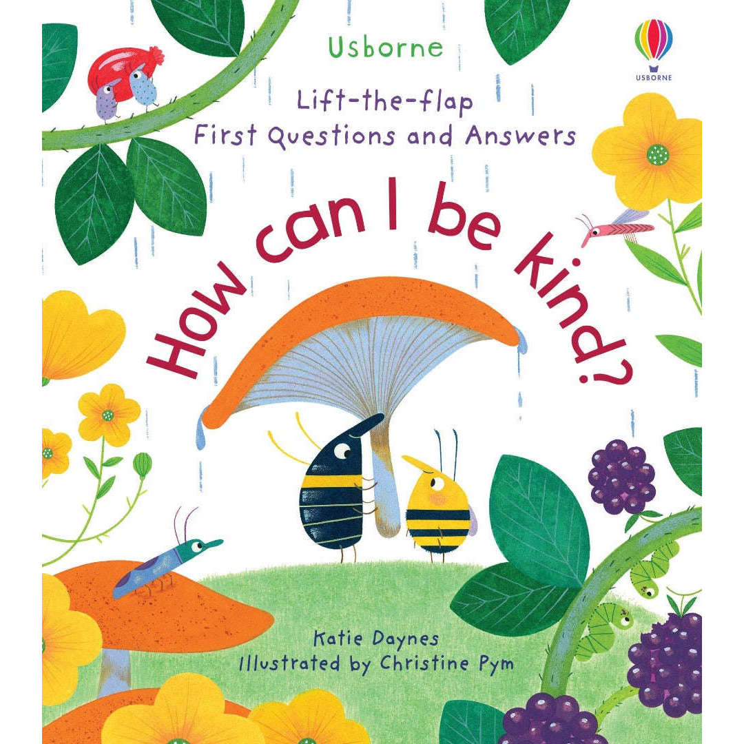 Toys N Tuck:Usborne Books - Lift The Flap First Questions And Answers How Can I Be Kind ?,Usborne Books