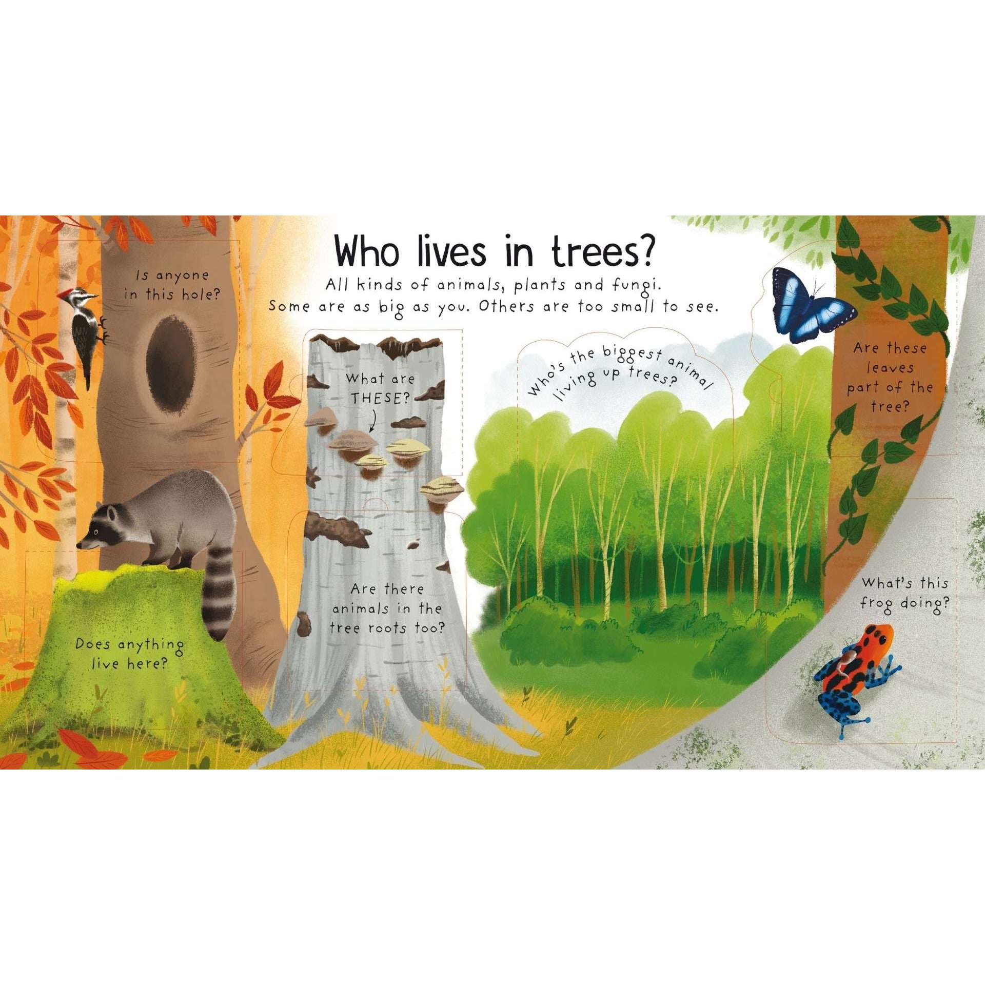 Toys N Tuck:Usborne Books - Why Do We Need Trees?,Usborne Books