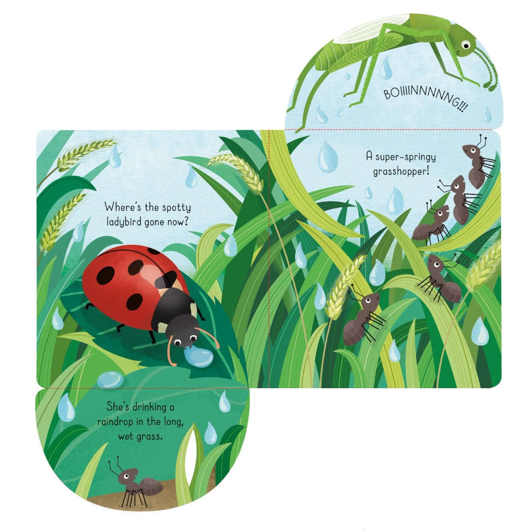 Toys N Tuck:Usborne Books - Bugs,Usborne Books