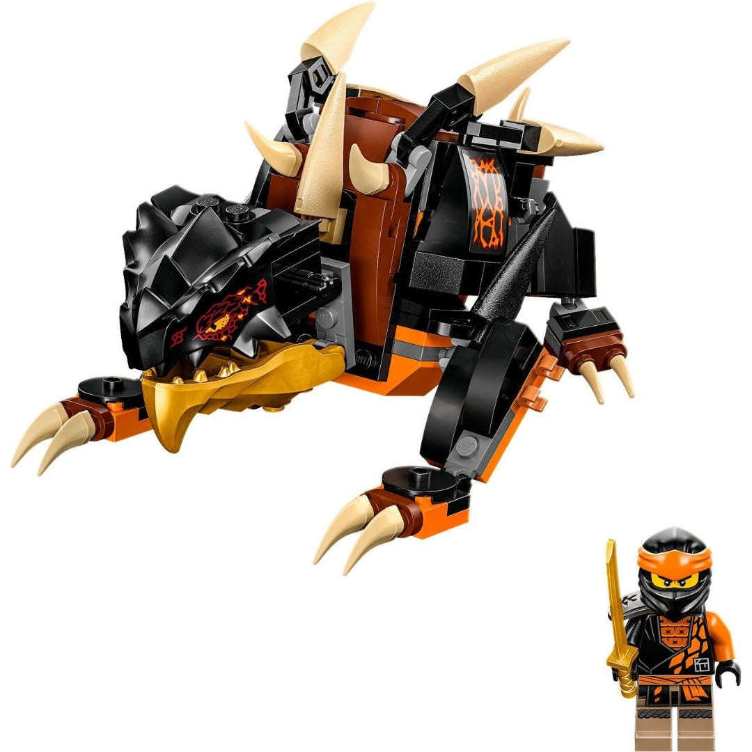 Lego sale ninjago cole